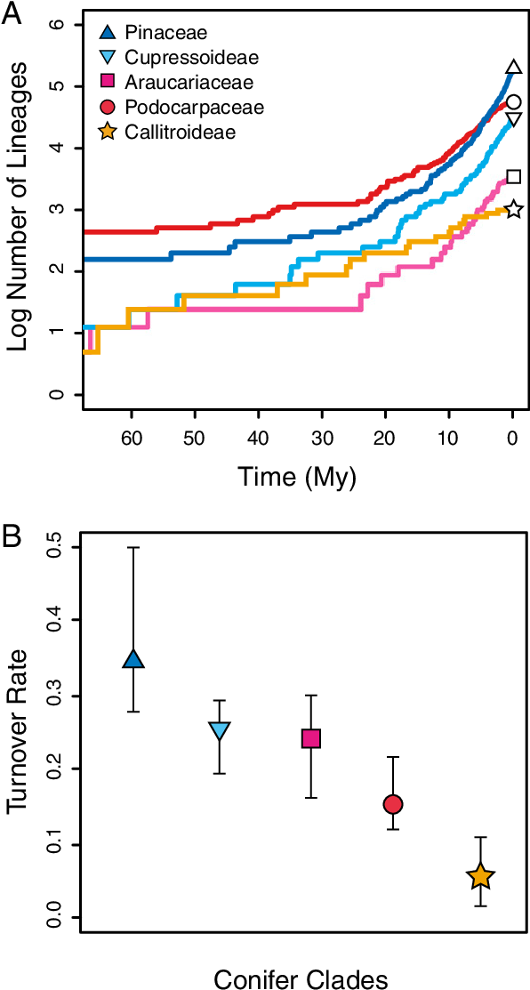 Diversification Dynamics Of Northern And Southern Hemisphere - Diagram (595x1123), Png Download