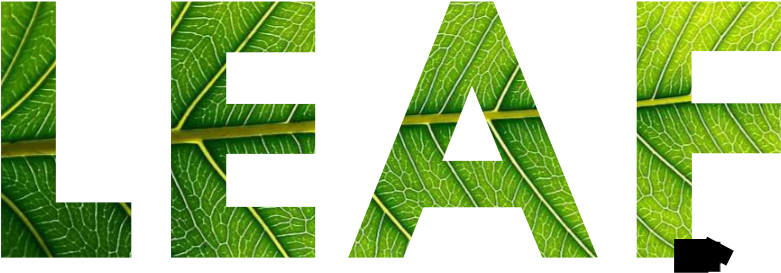 Cannabis Leaf Anonymous Clip Art Download - Red Oak Leaf Logo (800x600), Png Download