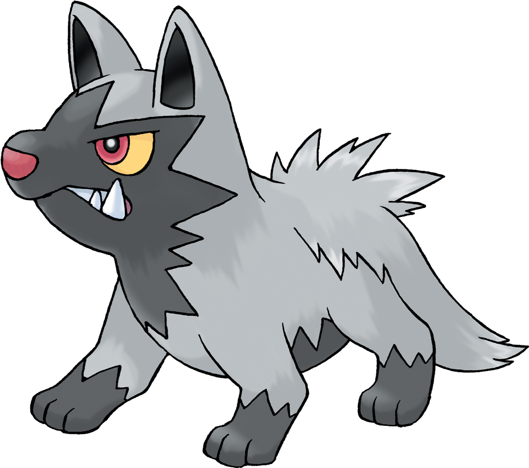 Poochyena - Poochyena Pokemon (1080x1080), Png Download