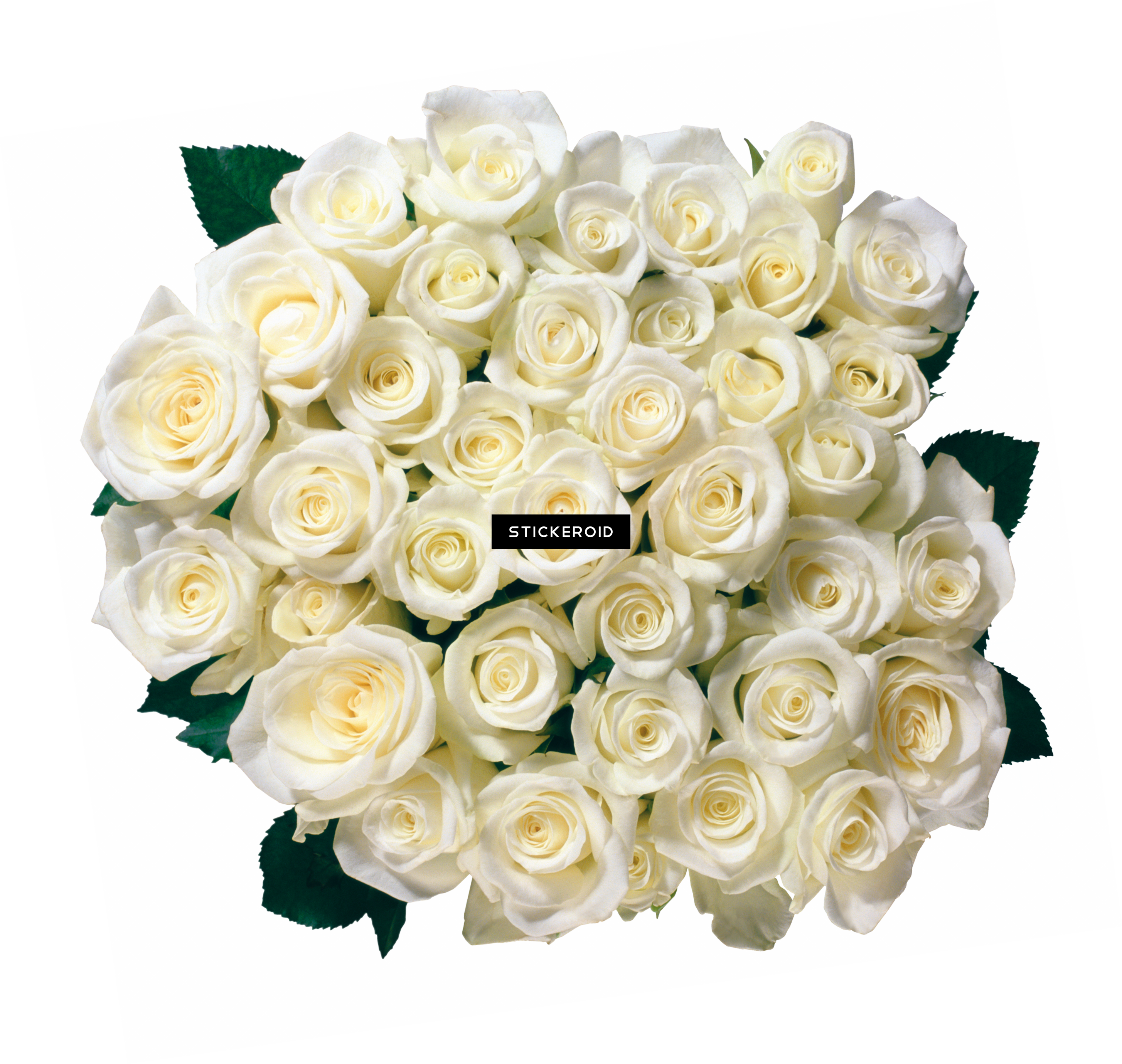 White Rose Flower White Rose Roses - Bouquet 35 White Rose (2910x2761), Png Download