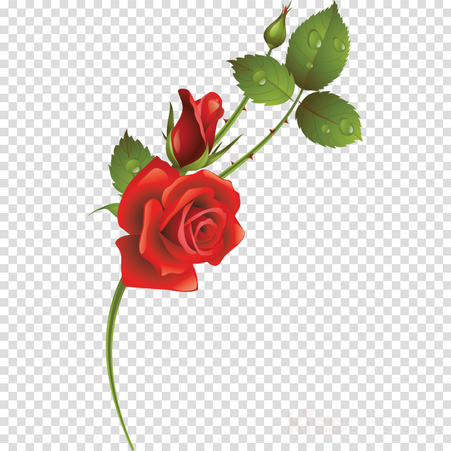 Flower Clipart Garden Roses Floral Design - Flower (900x900), Png Download