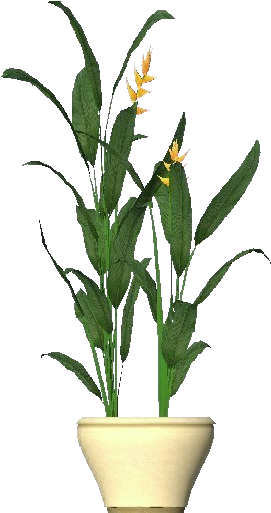 3d Flowers - Heliconia - Houseplant (750x527), Png Download