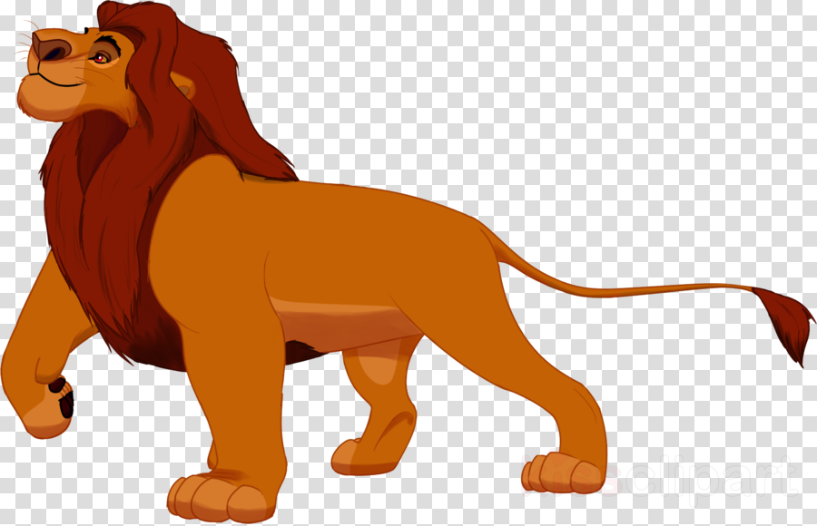 Download Lion King Png Clipart Mufasa Lion Simba Lion (900x580), Png Download