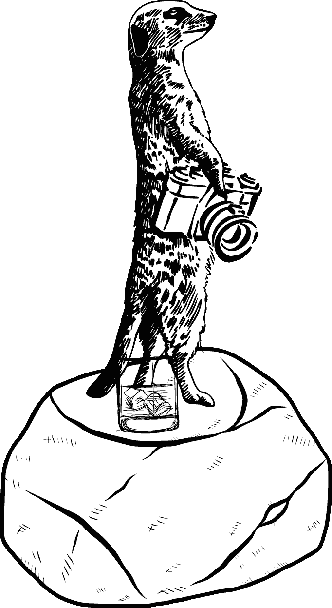 Bigwig Scene Meerkat - Meerkat (682x1247), Png Download