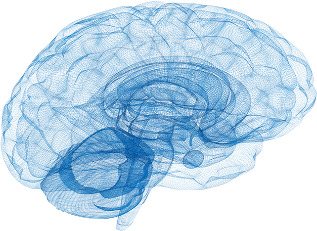 Home Brain - Neurologia De Bolsillo By M. Brandon Westover (688x485), Png Download