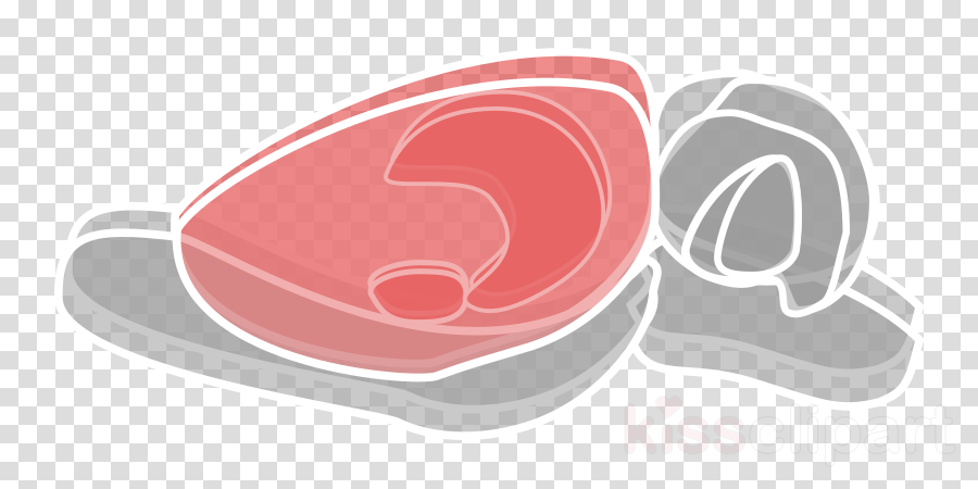 Download Rat Brain Png Clipart Mouse Laboratory Rat - Reviews Icono (900x450), Png Download