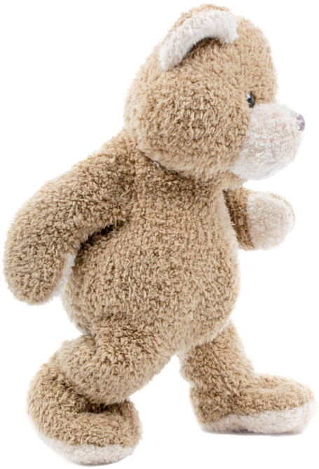 Teddy Bear White Background (535x699), Png Download
