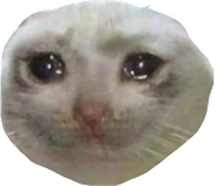 Why He Sad Meme Memes Edgymemes Cat Sadcat Freetoedit - Sad Cate (688x596), Png Download