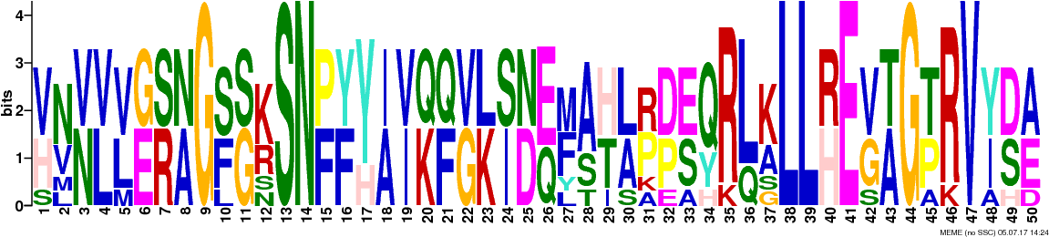 Png Logos Require Convert From Imagemagick - Graphic Design (1181x294), Png Download