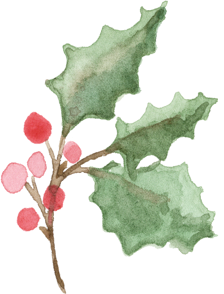 25 Holly Branch (1000x1215), Png Download