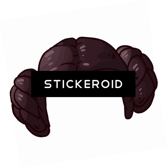 Wig Hair - Duke Nukem Forever Box Art (577x578), Png Download