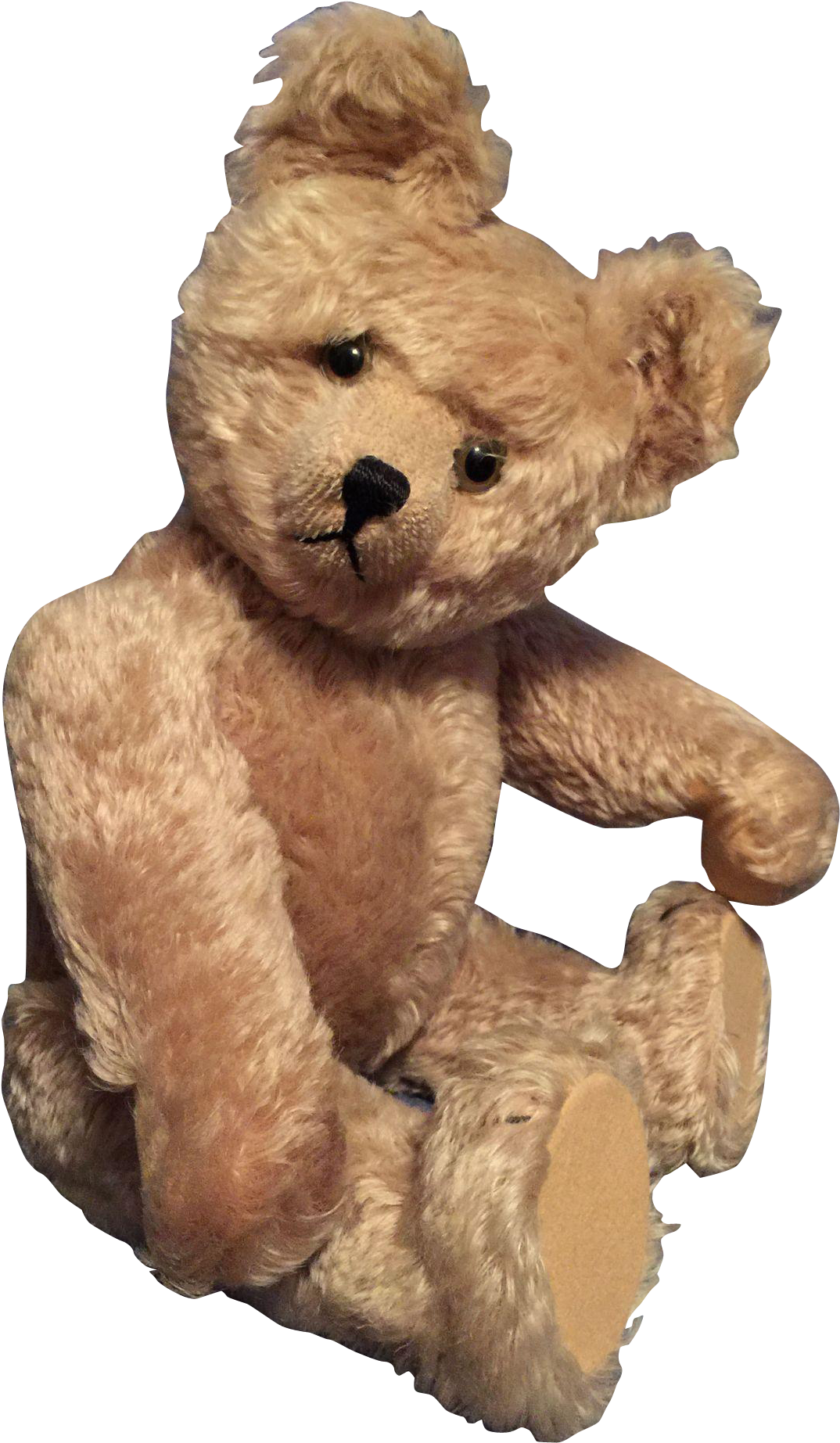 Schuco Rare Musical Vintage Teddy Bear Circa 1930-50 - Bear (1844x1844), Png Download