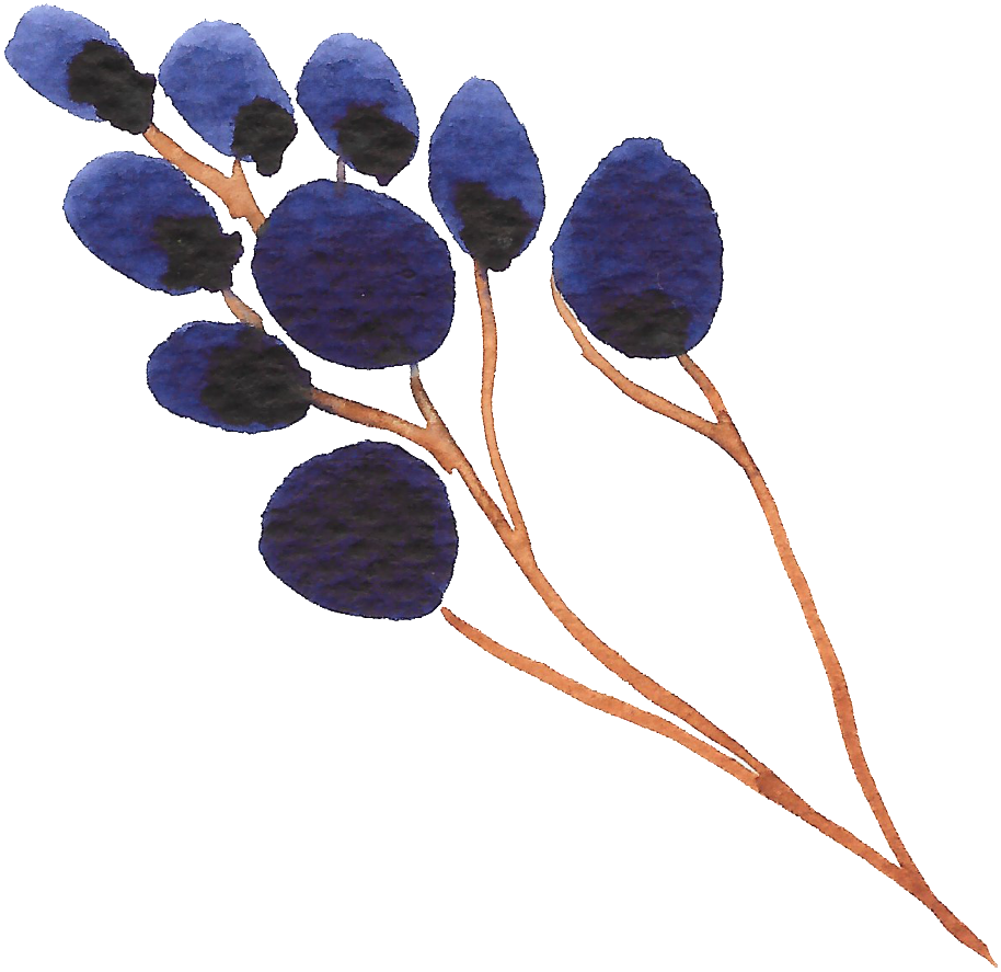 Hand Painted A Purple Wild Fruit Watercolor Transparent - Purple (1024x944), Png Download