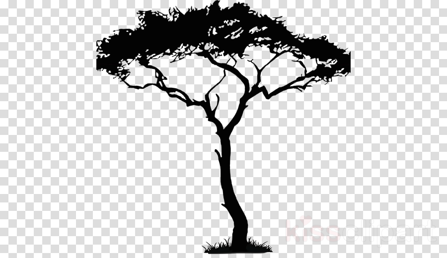 Download Uber Decals Vinyl Wall Decal Sticker African - African Trees (900x520), Png Download