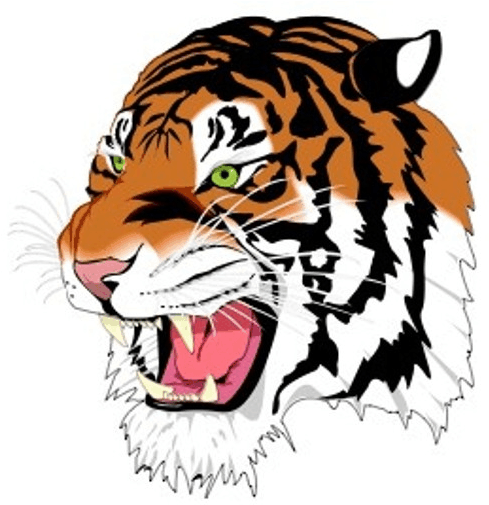 03 127k Tiger 15 May 2018 - Tigers Png (567x567), Png Download
