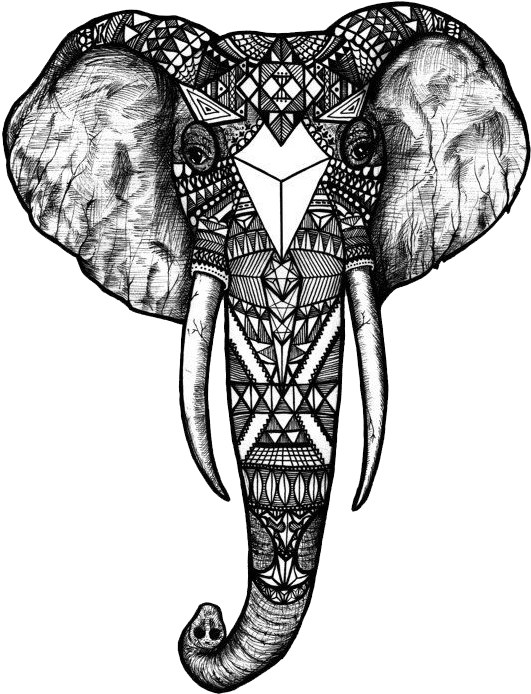 Image Transparent Download Collection Of Free Elephant - Tatouage Tete D Elephant (570x881), Png Download