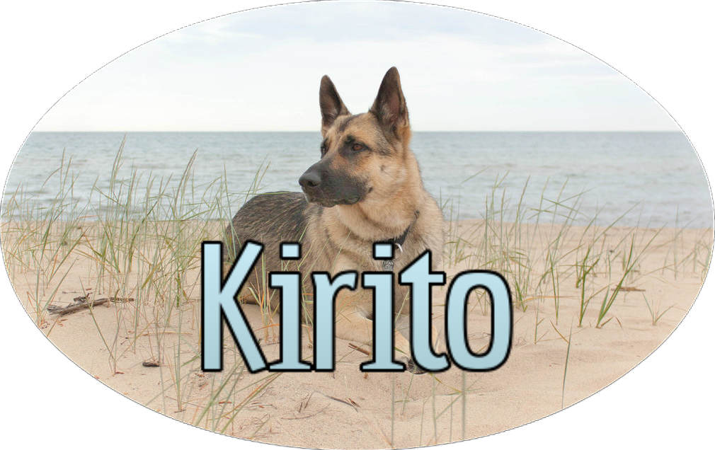 German Shepherd At The Beach By Elvaniel-d560zfp - Animal Jam Clans (1010x636), Png Download