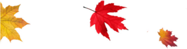 Thanksgiving Png Transparent Images - Fall Leaf Transparent Background (640x480), Png Download