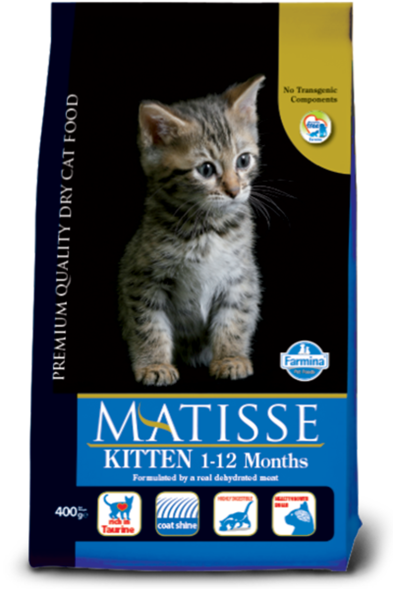 Kitten - Matisse Kitten (800x1200), Png Download