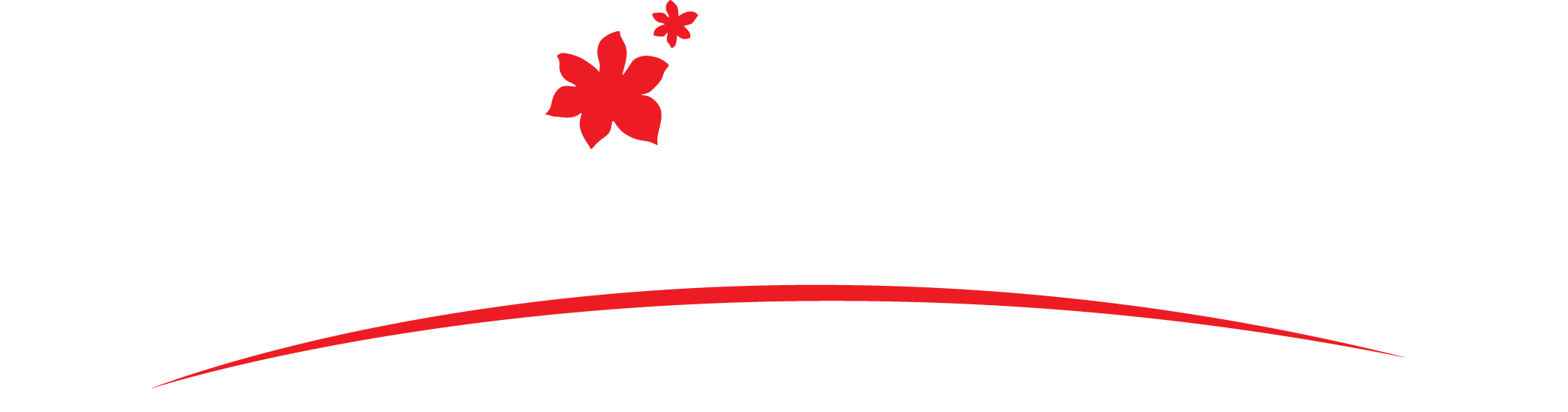 Flowers - Hungry The Homeless The Forgotten (2111x555), Png Download