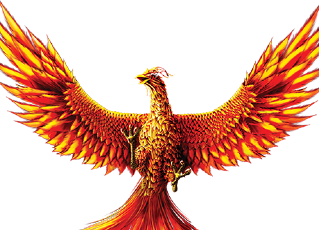 Phoenix Bird Transparent Background (640x480), Png Download