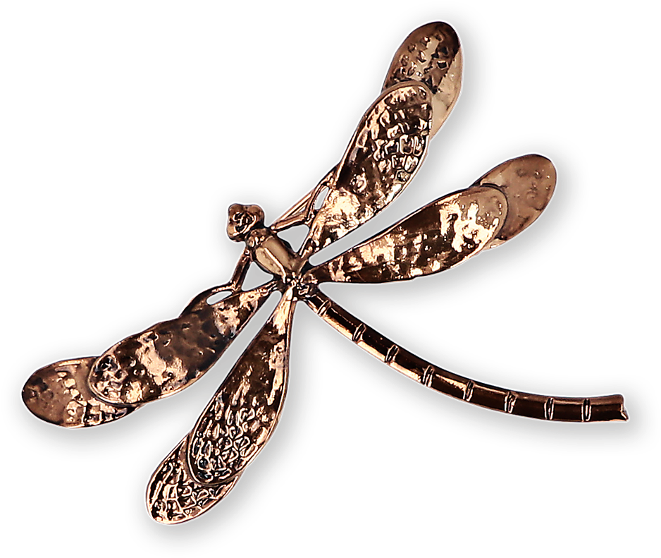 Dragonfly Gold-plated Brooch Ss19 Collection, Pal Zileri - Gold (960x1440), Png Download