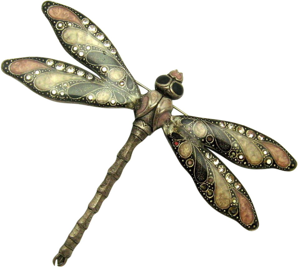 Vintage Catherine Popesco France Large Dragon Fly Brooch - Net-winged Insects (956x956), Png Download