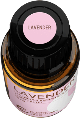 0 % Off - Bottle (619x900), Png Download