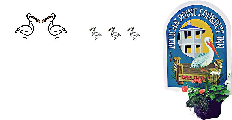 Come Discover Pelican Point Inn - Pelican Point Inn (800x400), Png Download