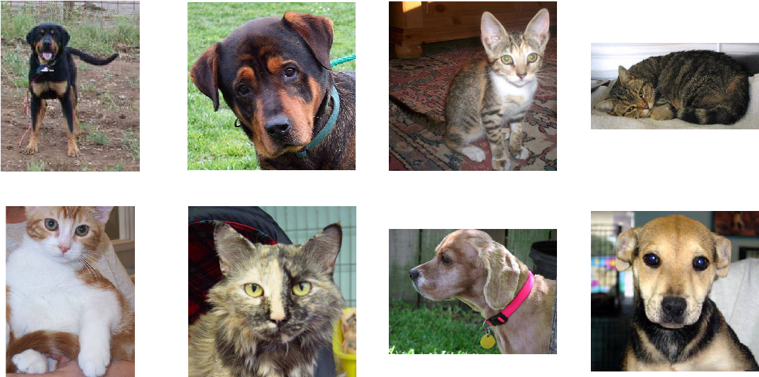 As You Can See, We Have A Variety Of Images - Tensorflow (1145x578), Png Download