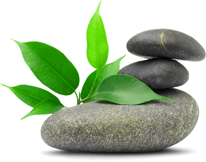 Stone And Flower Png (667x524), Png Download