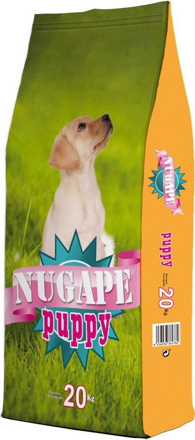 34/16 Nugape Puppy - Rabbit (1110x1398), Png Download