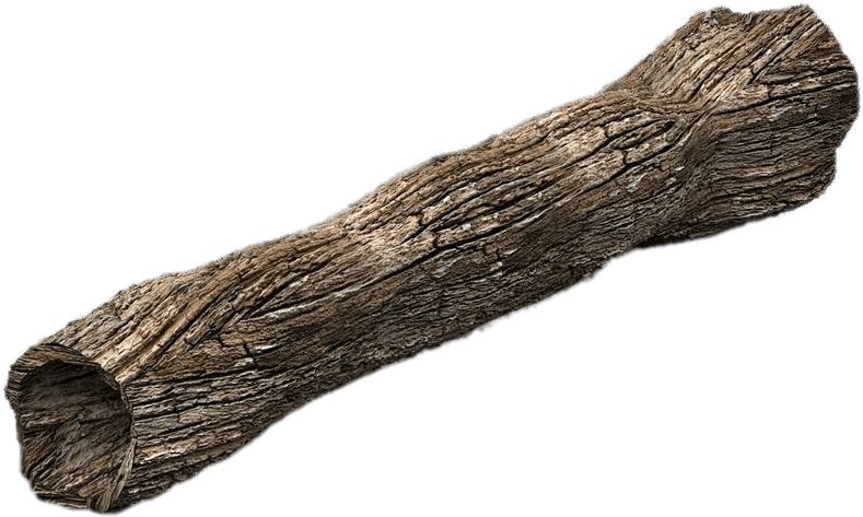 Dead Tree Trunk - Trunk (900x900), Png Download