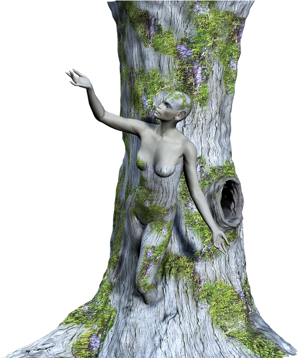 Tree, Wood, Woman, Fantasy, Prisoner, 3d, Png - Statue (720x720), Png Download