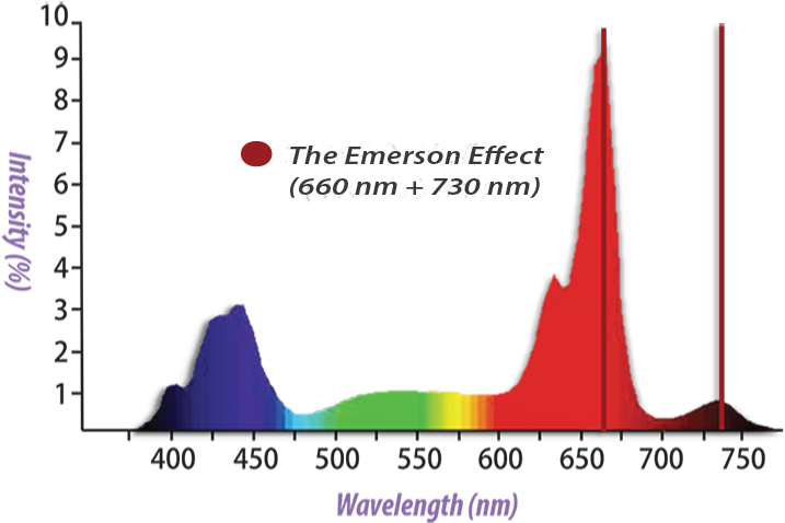 The Sg300 Horticultural Luminaire Features 660 Nm And - Photosynthetically Active Radiation Par (750x500), Png Download