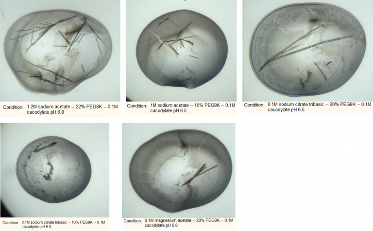0 Replies 5 Retweets 9 Likes - Sphere (768x475), Png Download