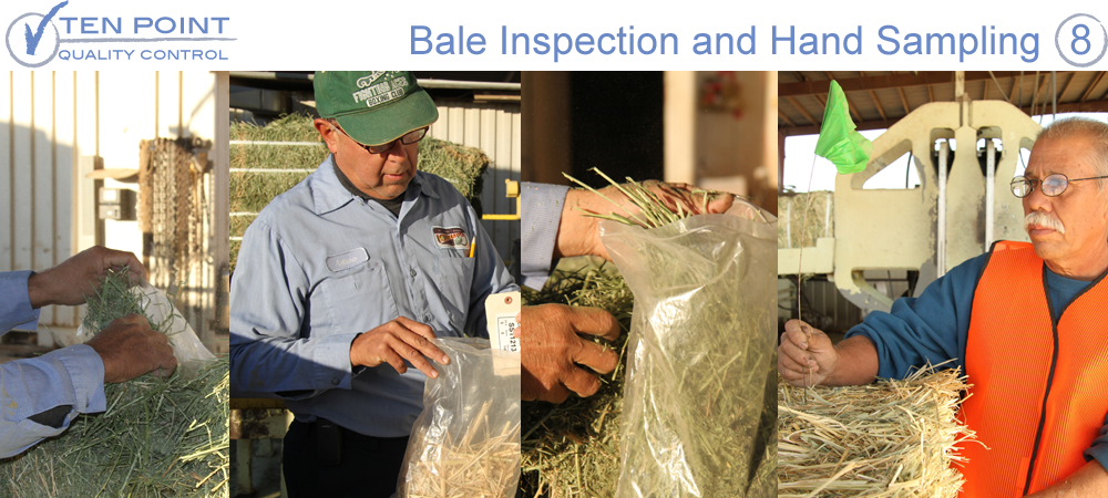 This Ensures The Hay We Shipped You Is The Exact Grade - Christmas Tree (1000x450), Png Download