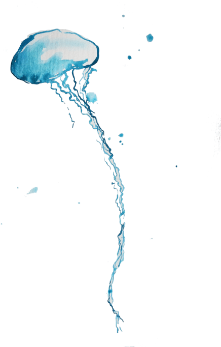 Free Png Blue Bottle Jellyfish Png Images Transparent - Jellyfish Png (480x681), Png Download