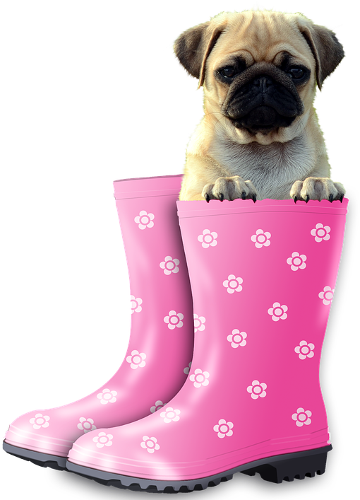Funny Animals Png - Puppies Saying Happy Valentines Day (720x720), Png Download