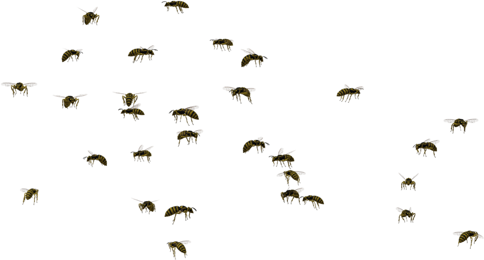 Swarm Of Bees Png Png Royalty Free - Swarm Of Flies Clipart (1024x645), Png Download