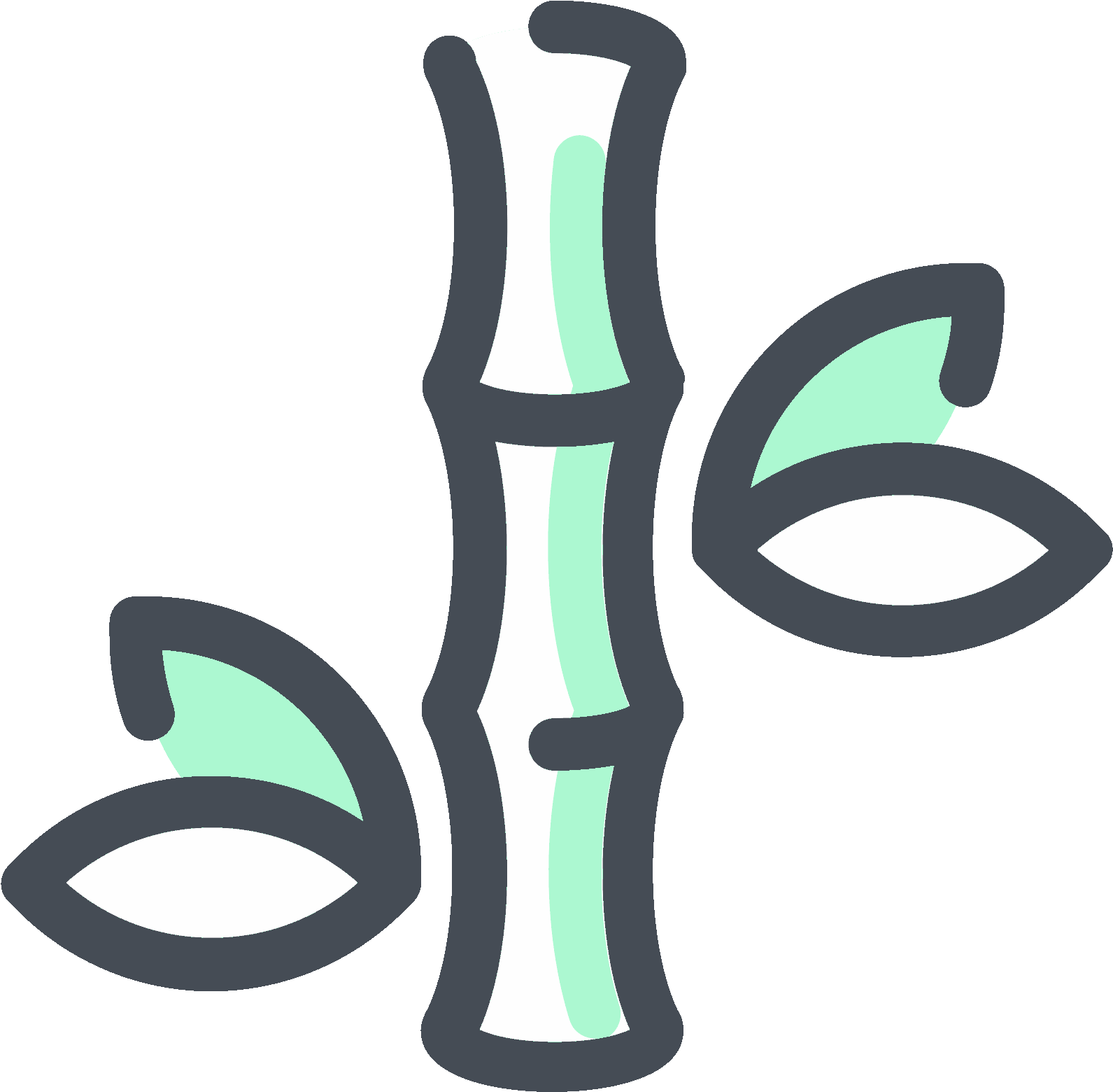 Bamboo Icon - Vector Graphics (1600x1600), Png Download