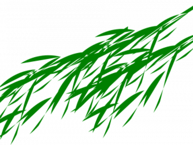 Bamboo Clipart Transparent Background - Panda Bear Eating Bamboo (640x480), Png Download