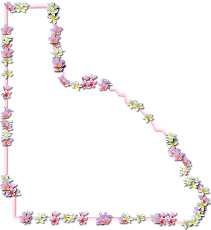 A Map Of Lafayette With A Coral Color Glow Border And - Illustration (705x768), Png Download