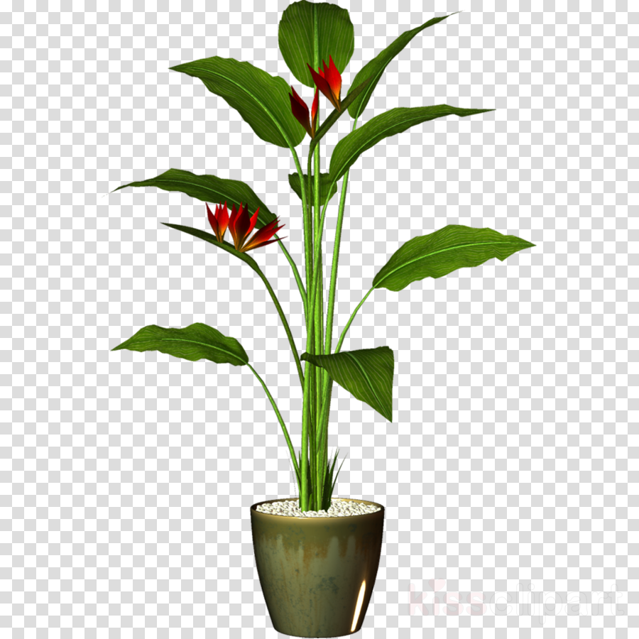 Download Plants Pots Png Clipart Houseplant Flowerpot Clip Art Potted