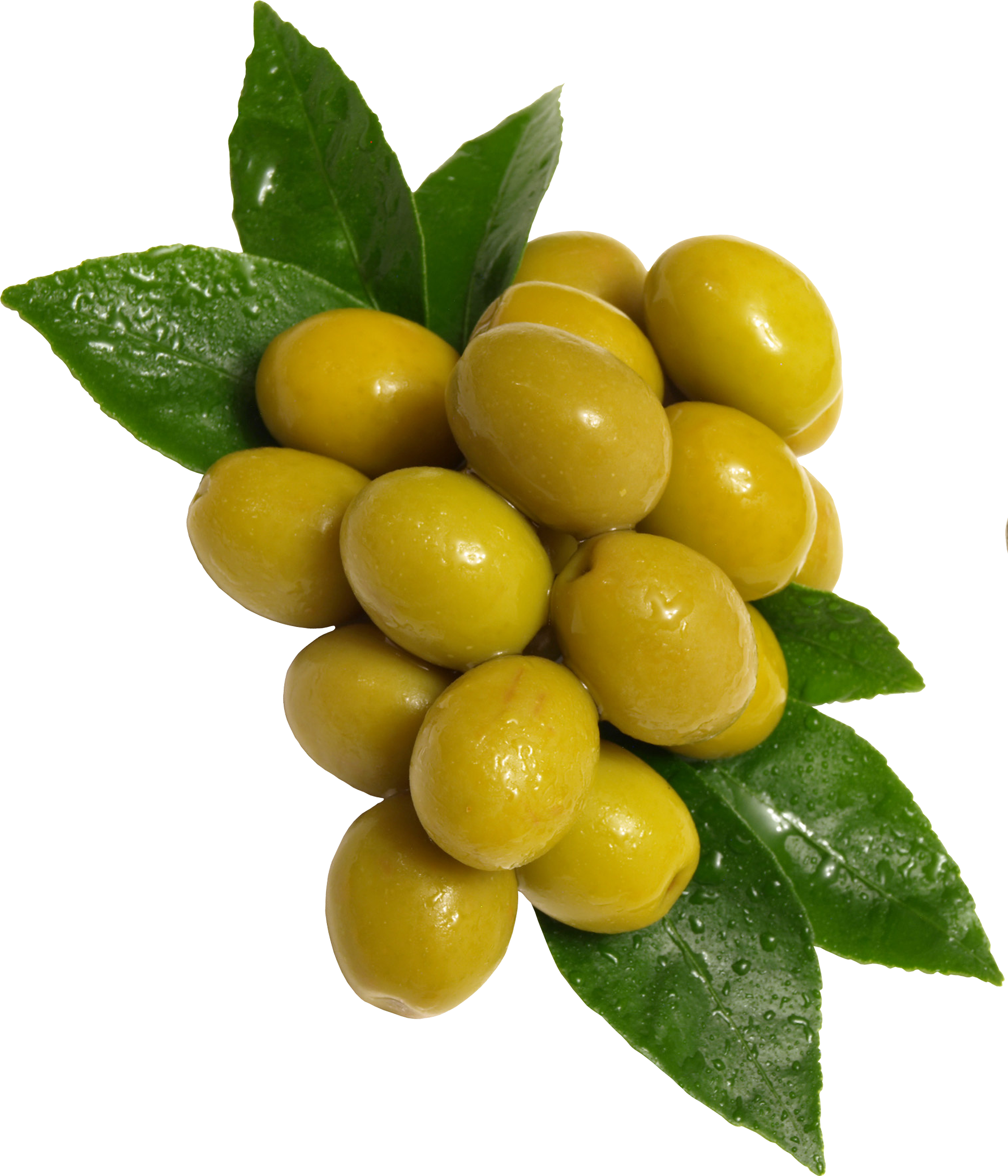 Green Olive Png - Olives Png (1936x2260), Png Download