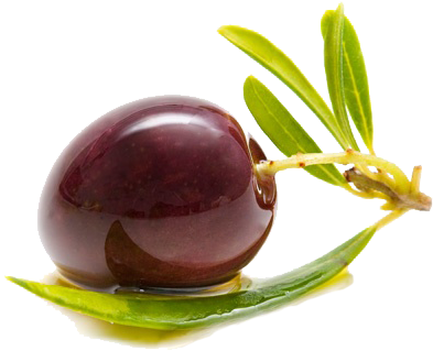 We Are Exporting To Germany, Usa, Canada, Romania, - Transparent Png Olive Png (400x400), Png Download
