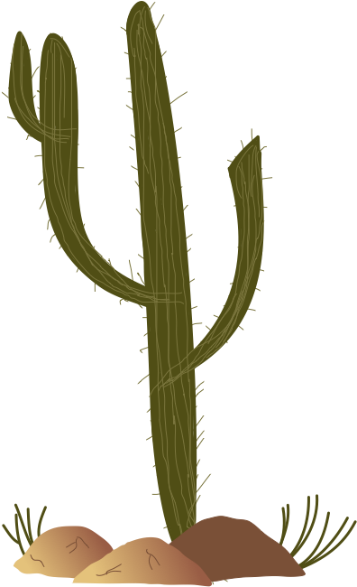 Mlp Fim Cactus By Thecoltalition On Clipart Library - My Little Pony: Friendship Is Magic (944x704), Png Download