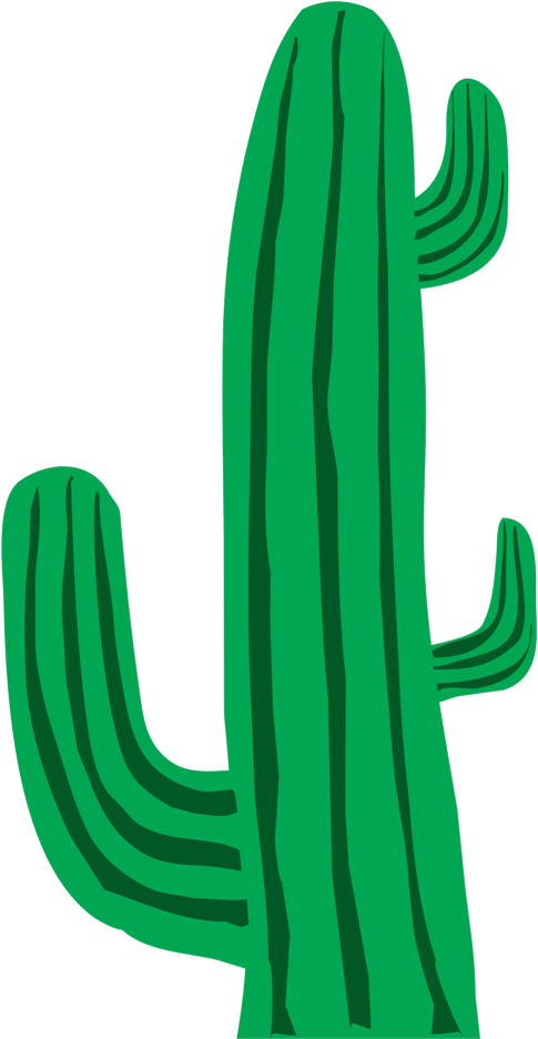 Cactus Clipart Transparent - Cactus Clipart Transparent Background (1024x1024), Png Download