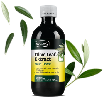 Made From Fresh Olive Leaves - Comvita Olive Leaf Extract 1l (420x480), Png Download