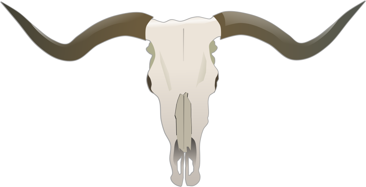 Longhorn-skull - Longhorn Skull Throw Blanket (800x522), Png Download